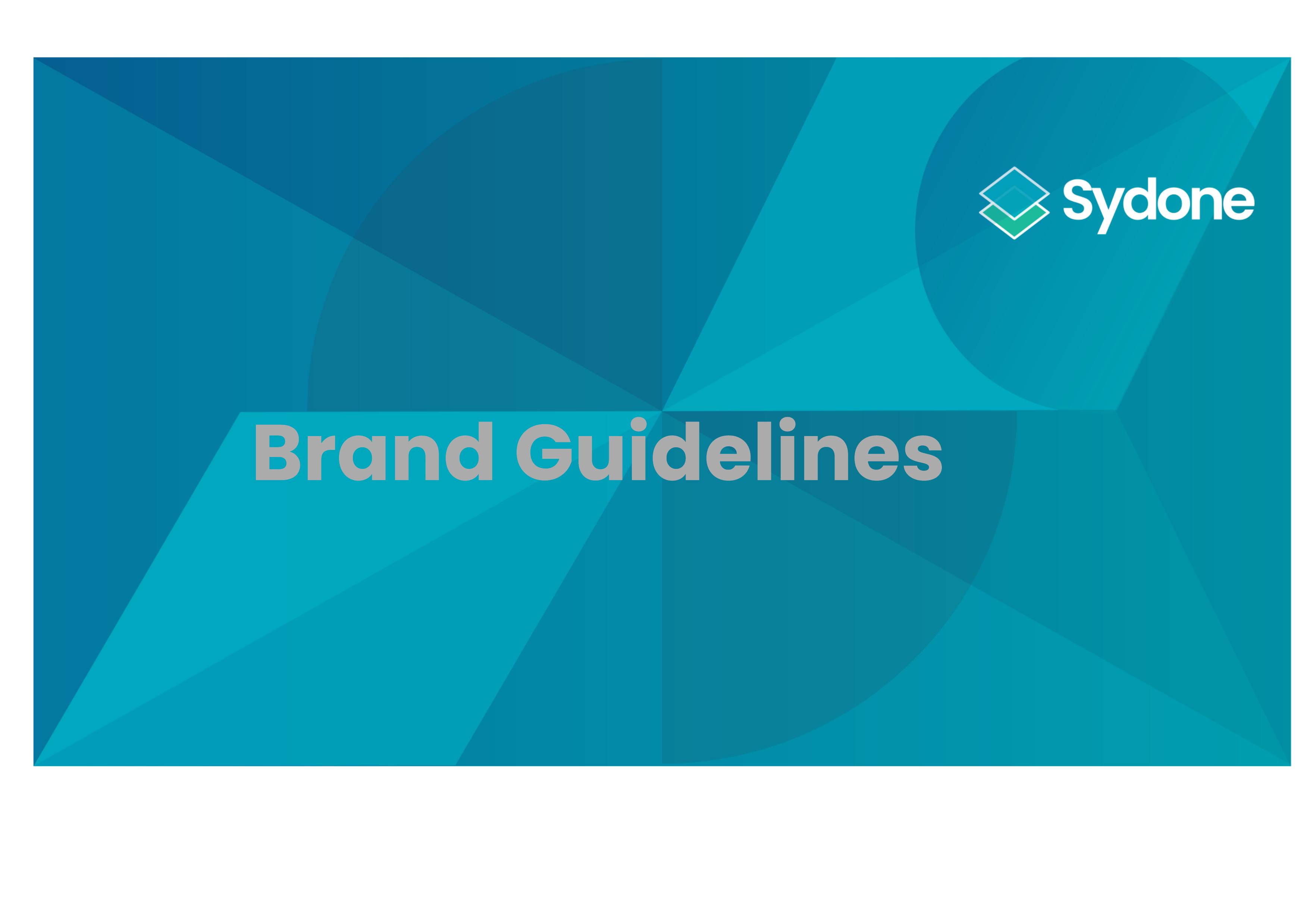 Brand-Guidlines_preview@1,5x